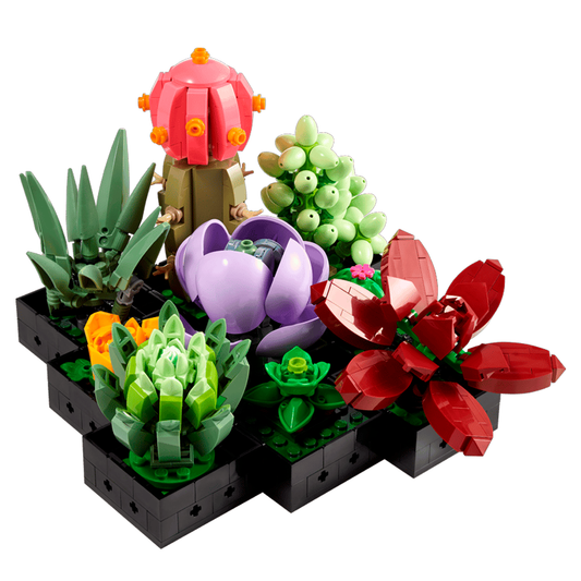 Suculentas | 771 PCS - Genérico