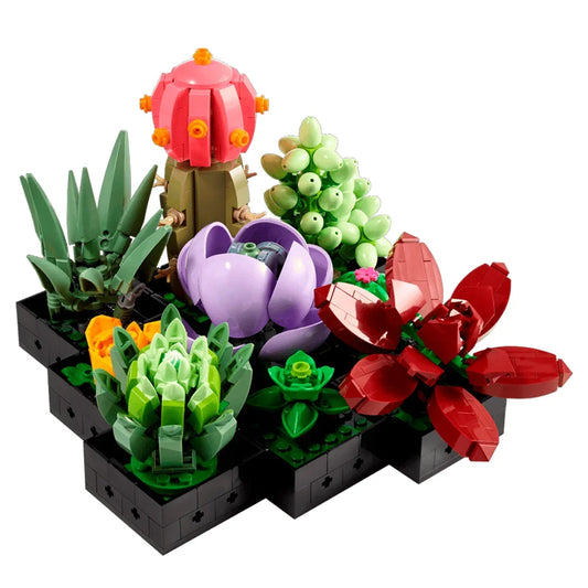 Suculentas | 771 PCS - Genérico
