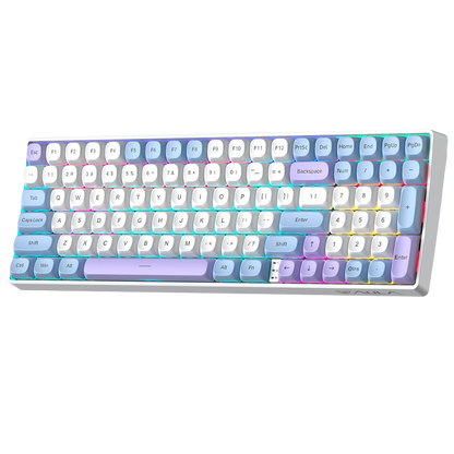 Aula S100 Pro - Teclado Inalámbrico